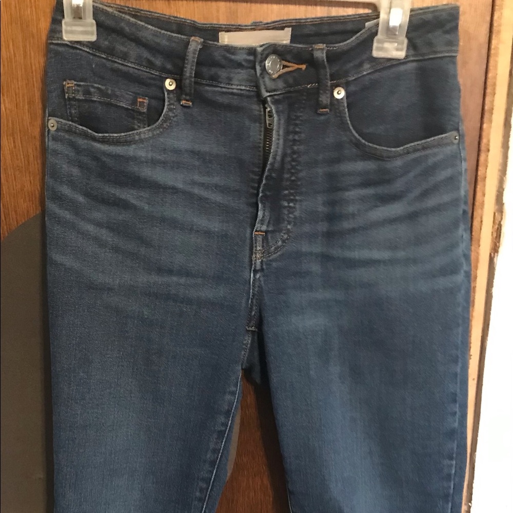 Everlane High Rise Curvy Skinny Jeans